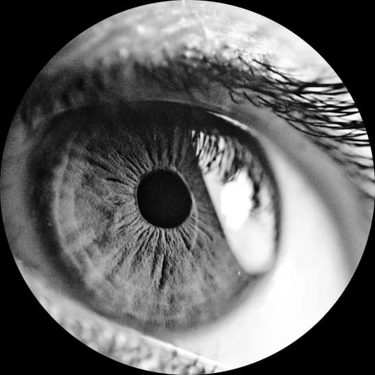 vision 3 14